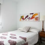 Gran Apartamento Plaza De Espana